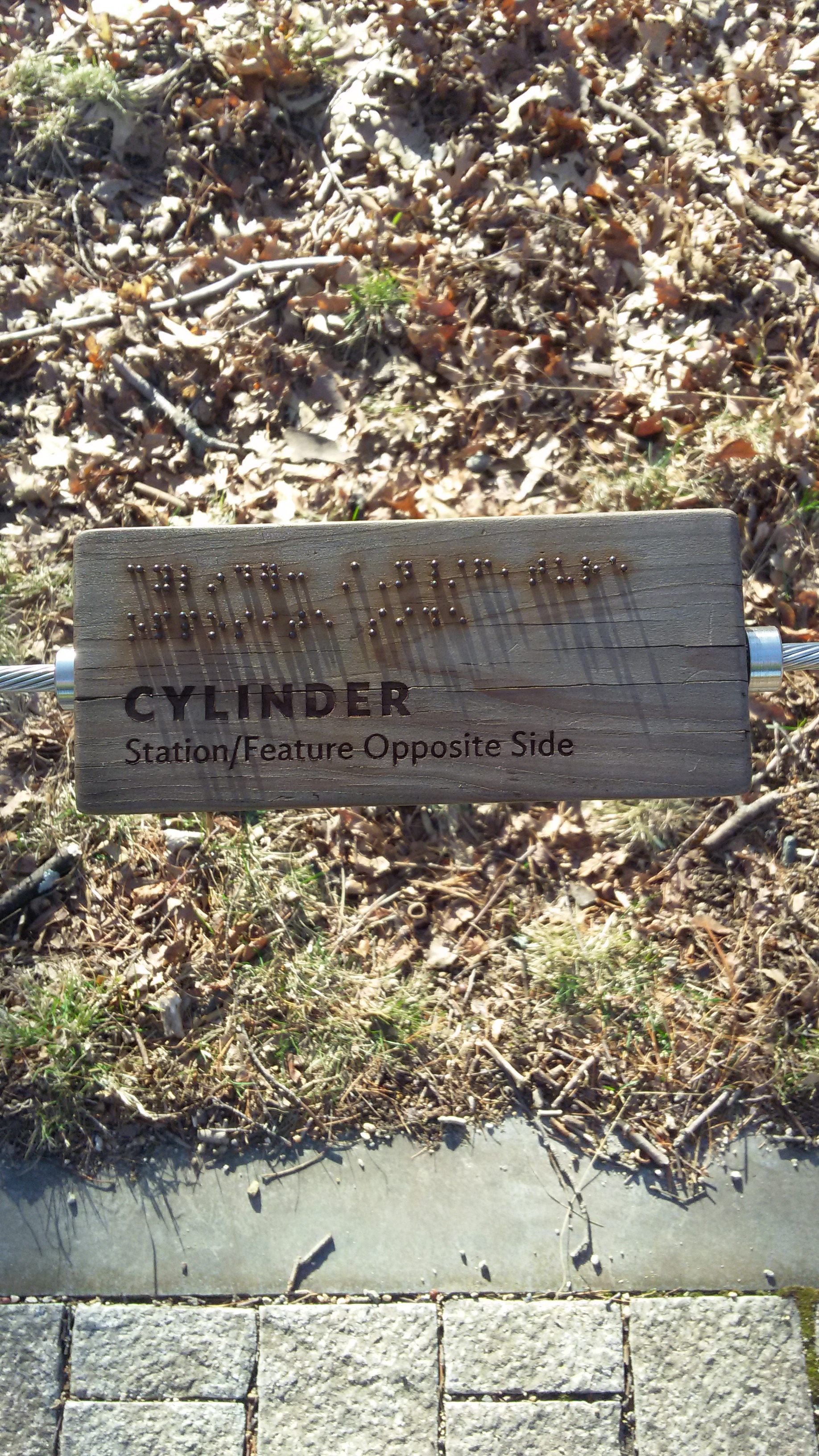 Cylinder.jpg