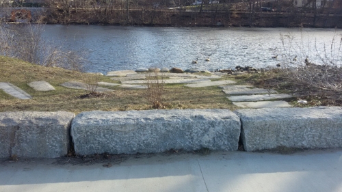 Charles River in the background around mid-morning. A gray brick walk way is visible leading up from the river. The bricks are in field of grass with some leafless bushes planted in between. In the foreground are large rocks forming a little barricade between the grass and a gray, cement, sidewalk.