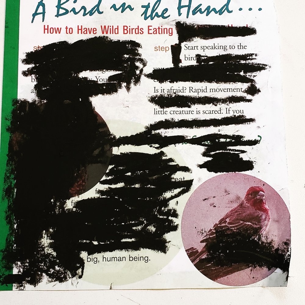 Example of a black out poem. A page from a book about birds has large strokes of black blocking out specific lines of words, images, and design details. The remaining words form a poem and in the bottom left is the picture of a bird.
