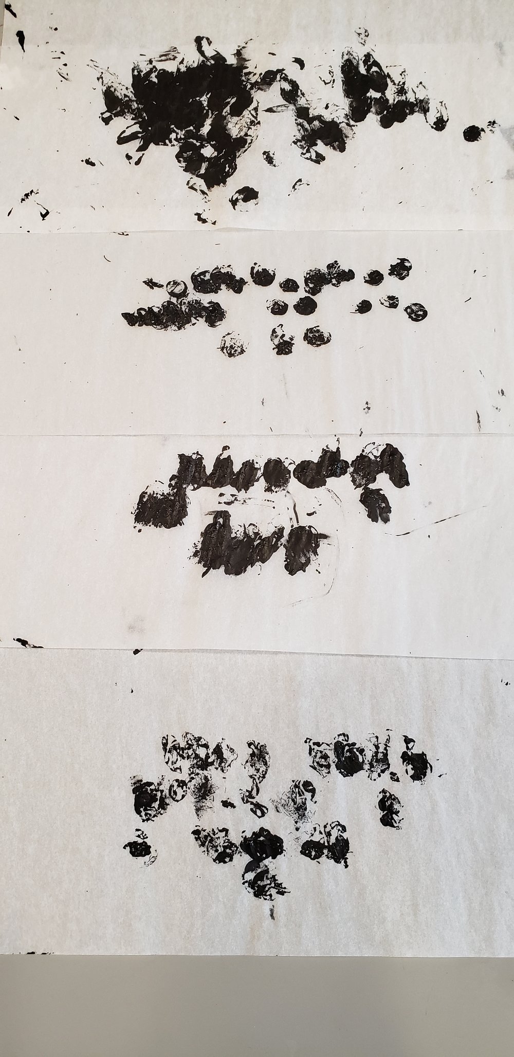 Pieces of tracing paper with individual black dots made with paint.